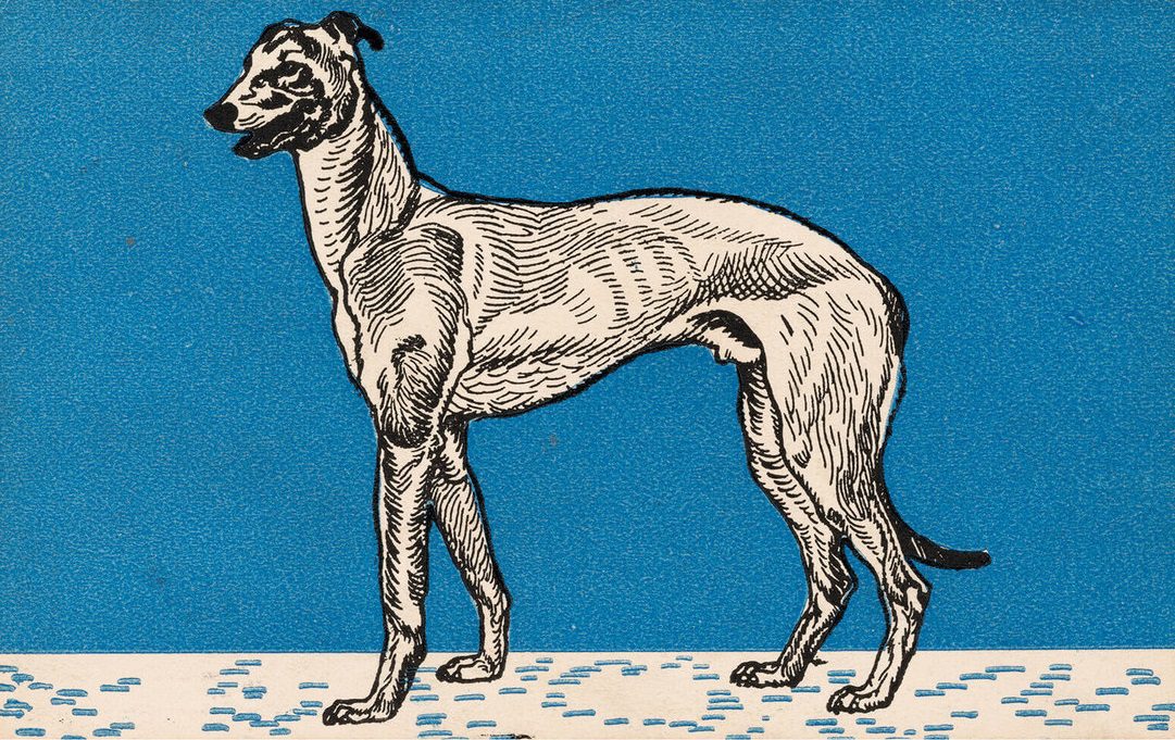 Ein weiteres Beispiel der grafischen Kunst von Moriz Jung.